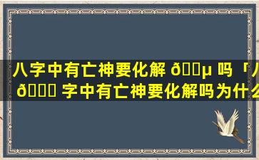 八字中有亡神要化解 🌵 吗「八 🐒 字中有亡神要化解吗为什么」